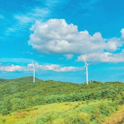 疯狂动物乐园手机版下载